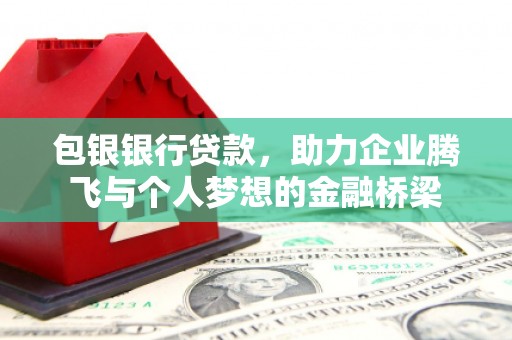 岳阳包银银行贷款，助力企业腾飞与个人梦想的金融桥梁