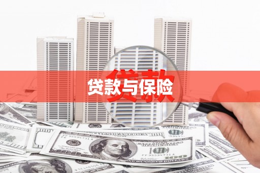 岳阳贷款与保险