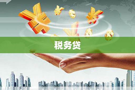 岳阳税务贷