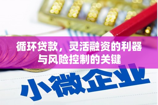 岳阳循环贷款，灵活融资的利器与风险控制的关键