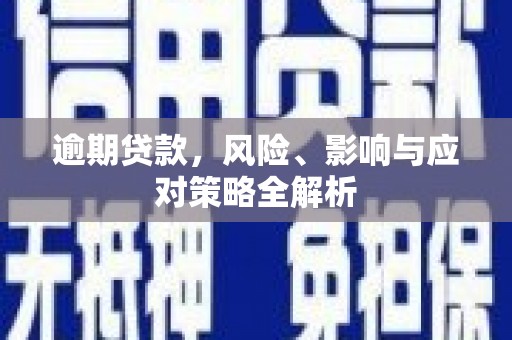 岳阳逾期贷款，风险、影响与应对策略全解析