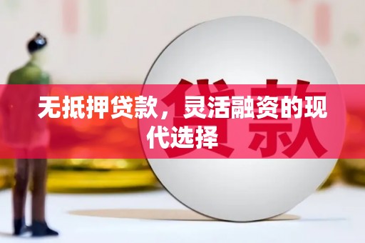 岳阳无抵押贷款，灵活融资的现代选择