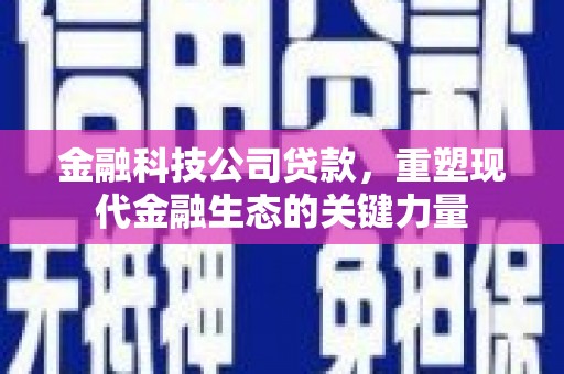 岳阳金融科技公司贷款，重塑现代金融生态的关键力量
