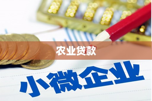 岳阳农业贷款