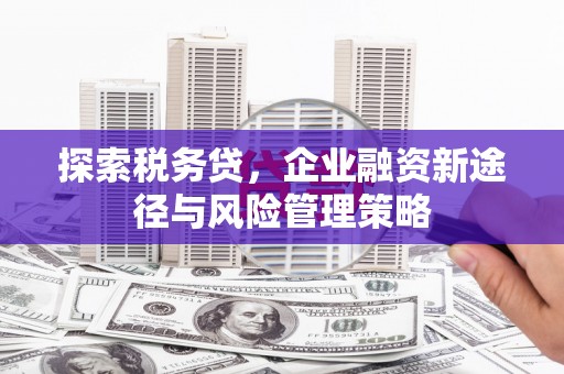 岳阳探索税务贷，企业融资新途径与风险管理策略
