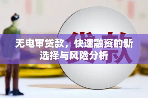 岳阳无电审贷款，快速融资的新选择与风险分析