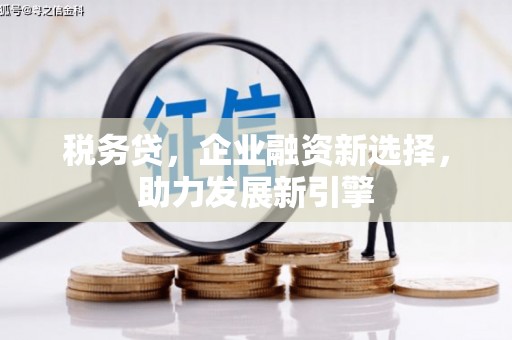 岳阳税务贷，企业融资新选择，助力发展新引擎