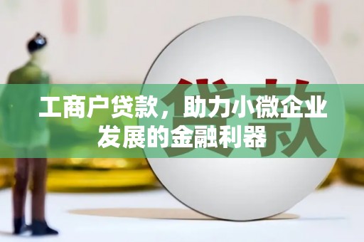 岳阳工商户贷款，助力小微企业发展的金融利器