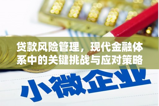 岳阳贷款风险管理，现代金融体系中的关键挑战与应对策略