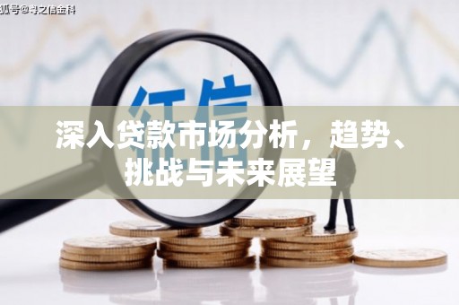岳阳深入贷款市场分析，趋势、挑战与未来展望