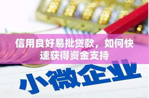岳阳信用良好易批贷款，如何快速获得资金支持