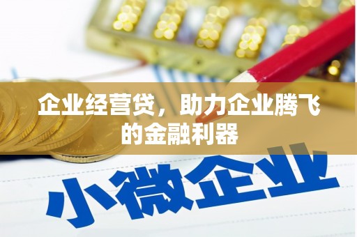 岳阳企业经营贷，助力企业腾飞的金融利器