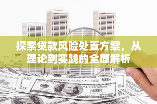 岳阳探索贷款风险处置方案，从理论到实践的全面解析