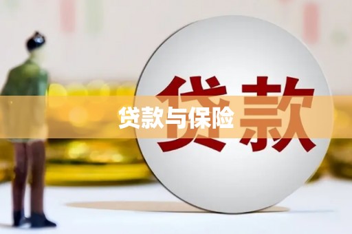 岳阳贷款与保险