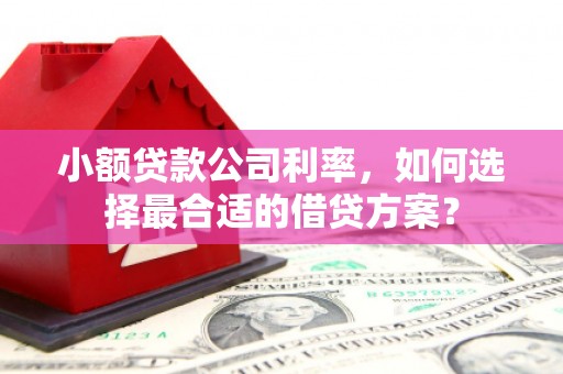 岳阳小额贷款公司利率，如何选择最合适的借贷方案？