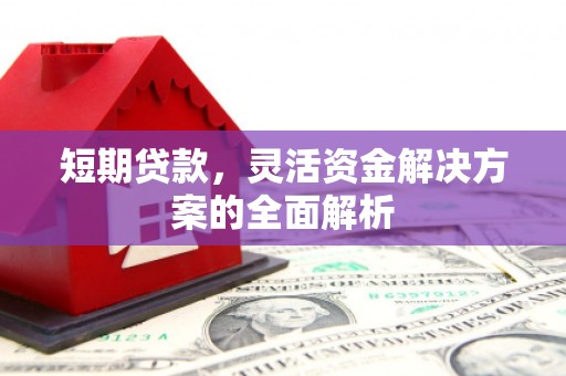 岳阳短期贷款，灵活资金解决方案的全面解析