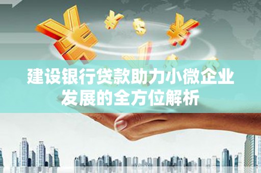岳阳建设银行贷款助力小微企业发展的全方位解析