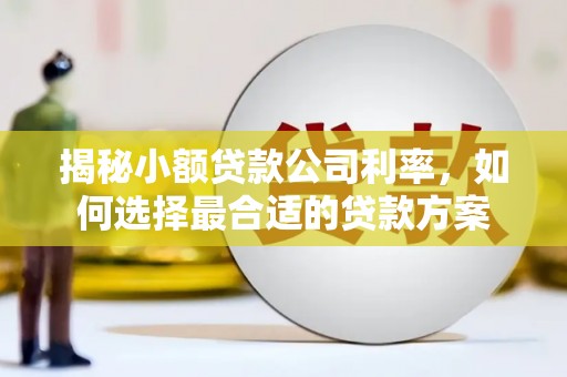 岳阳揭秘小额贷款公司利率，如何选择最合适的贷款方案