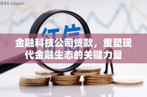 岳阳金融科技公司贷款，重塑现代金融生态的关键力量