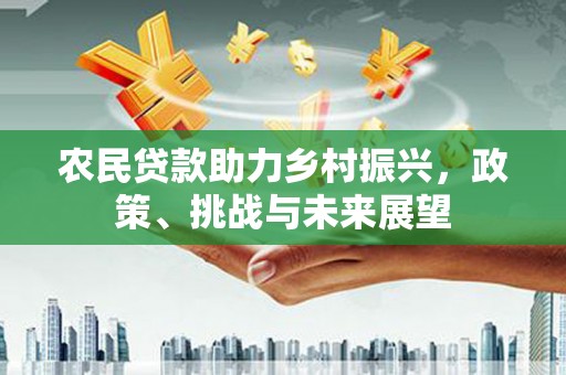 岳阳农民贷款助力乡村振兴，政策、挑战与未来展望