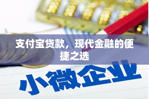 岳阳支付宝贷款，现代金融的便捷之选