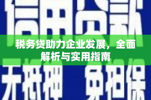 岳阳税务贷助力企业发展，全面解析与实用指南