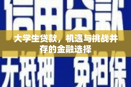 岳阳大学生贷款，机遇与挑战并存的金融选择