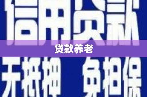 岳阳贷款养老
