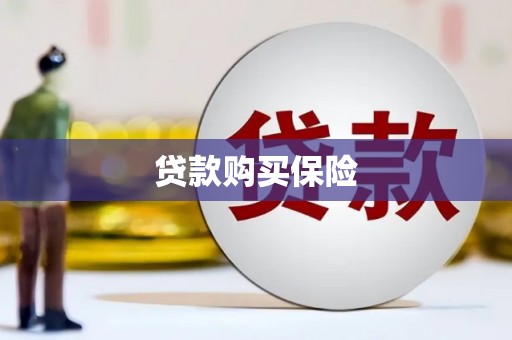 岳阳贷款购买保险