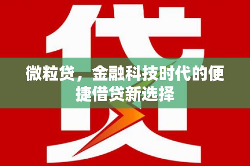岳阳微粒贷，金融科技时代的便捷借贷新选择