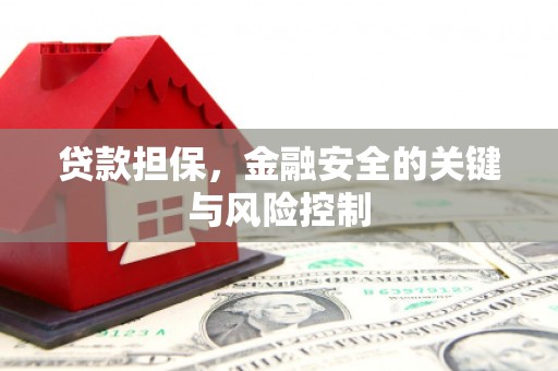 岳阳贷款担保，金融安全的关键与风险控制