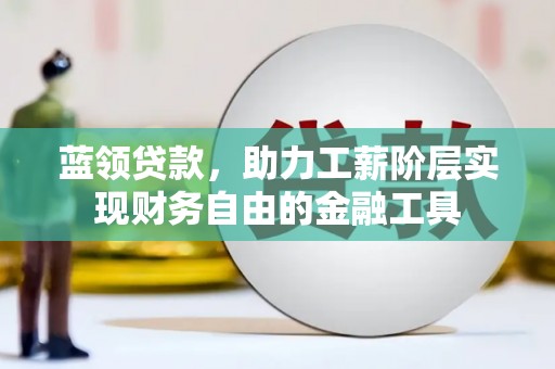 岳阳蓝领贷款，助力工薪阶层实现财务自由的金融工具