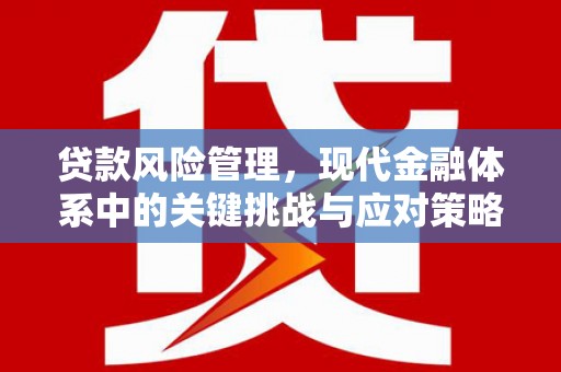 岳阳贷款风险管理，现代金融体系中的关键挑战与应对策略