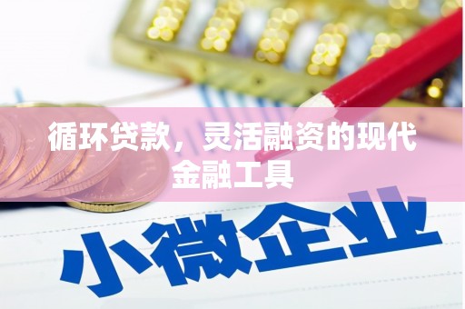 岳阳循环贷款，灵活融资的现代金融工具