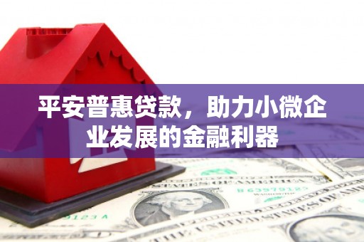 岳阳平安普惠贷款，助力小微企业发展的金融利器