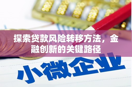 岳阳探索贷款风险转移方法，金融创新的关键路径