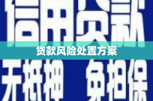 岳阳贷款风险处置方案