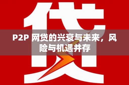 岳阳P2P 网贷的兴衰与未来，风险与机遇并存