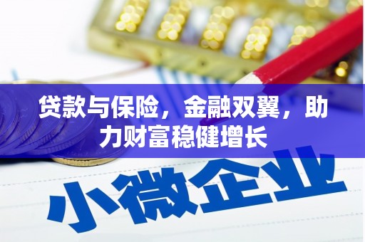 岳阳贷款与保险，金融双翼，助力财富稳健增长