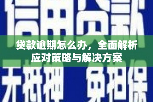 岳阳贷款逾期怎么办，全面解析应对策略与解决方案