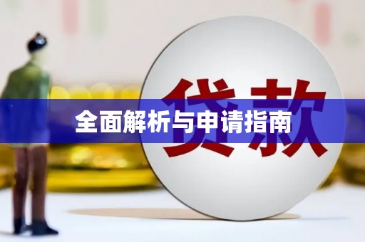 岳阳全面解析与申请指南